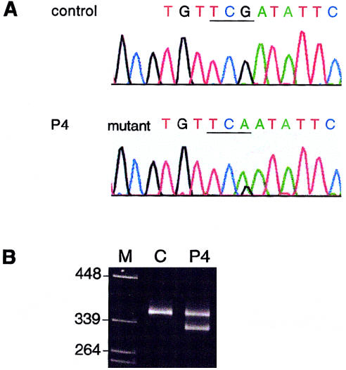 Figure  7