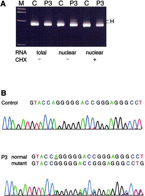 Figure  5