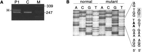 Figure  3