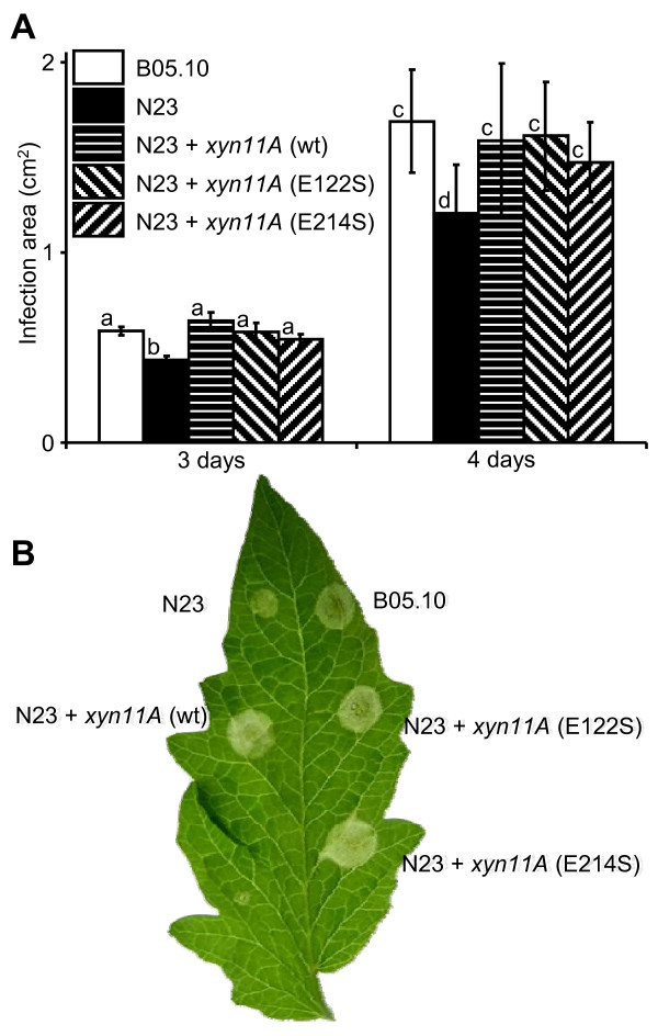 Figure 5