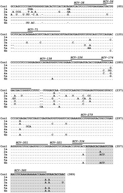 FIG. 7.