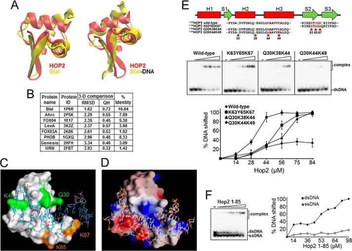 FIGURE 4.