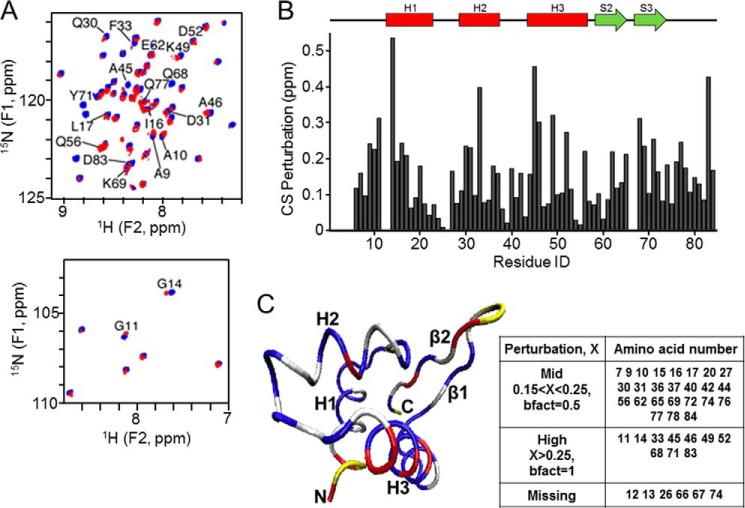 FIGURE 3.