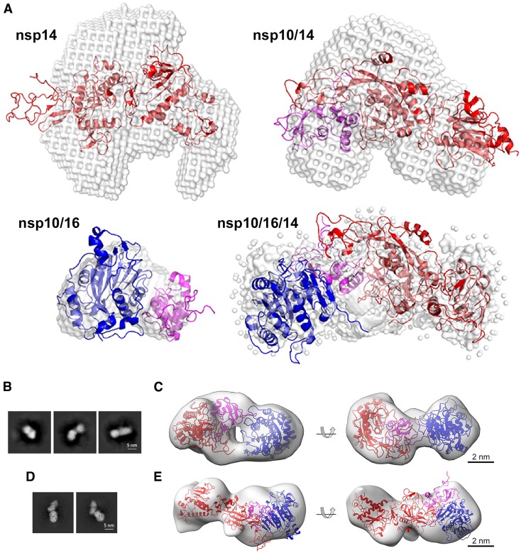 Figure 6.