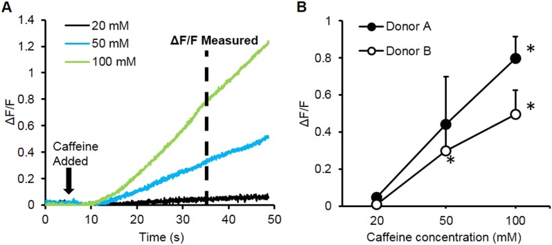 Figure 3—figure supplement 2.