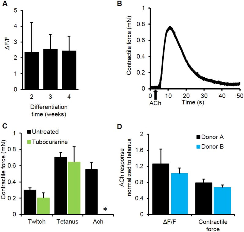 Figure 3—figure supplement 3.