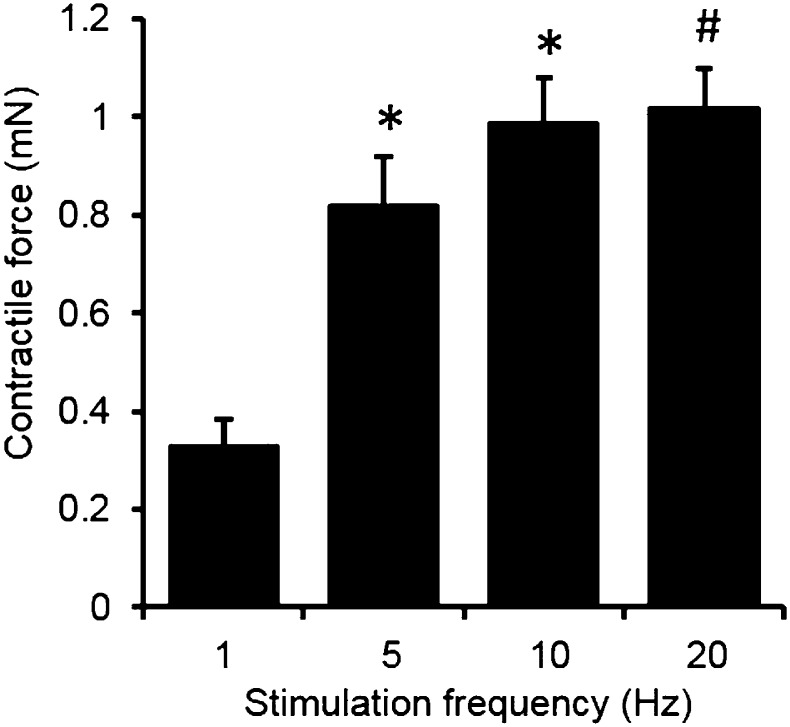 Figure 2—figure supplement 2.