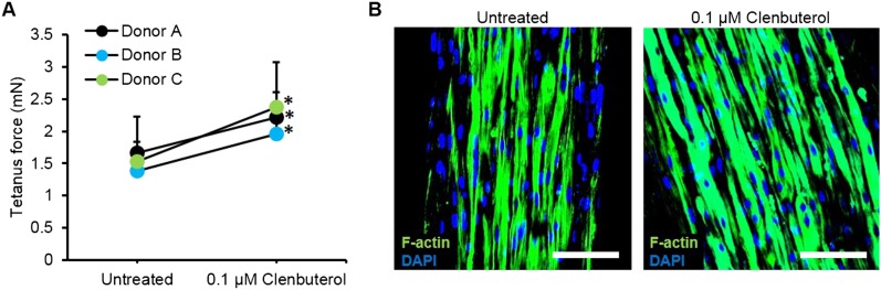 Figure 4—figure supplement 2.