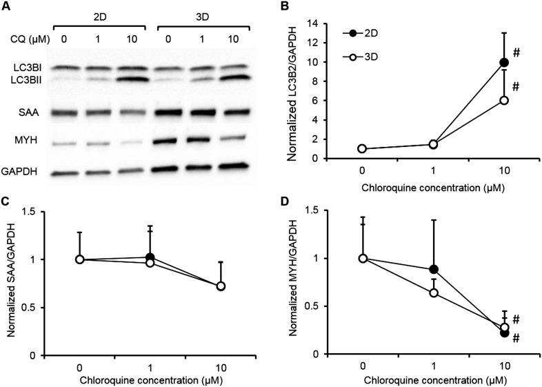 Figure 4—figure supplement 1.