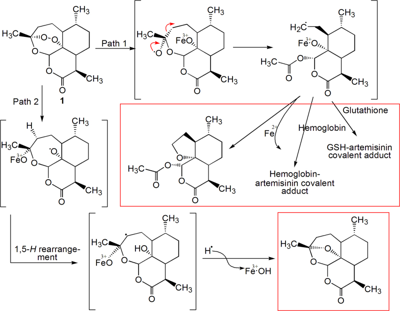 Scheme 4