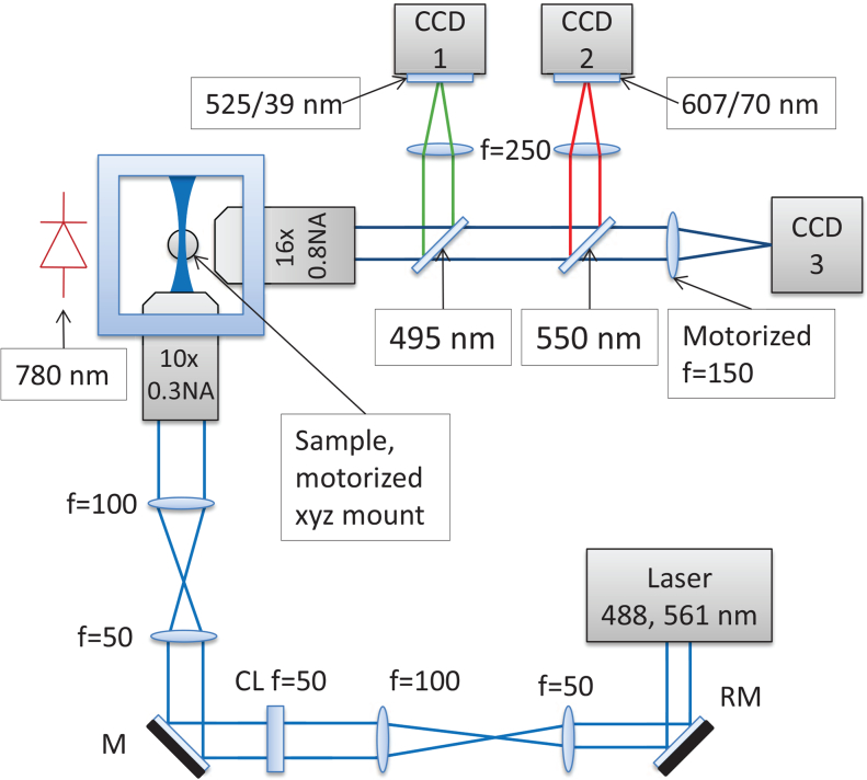 Fig. 1