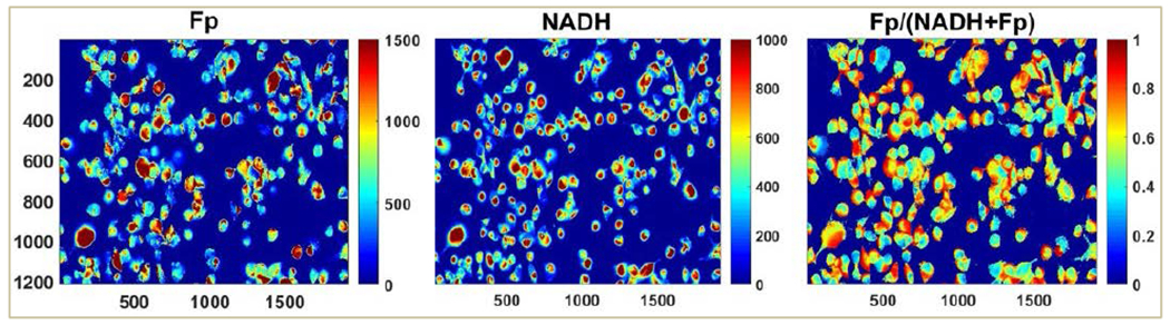 FIGURE 1.