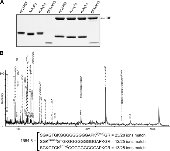 FIG. 7.