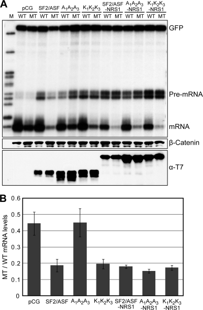 FIG. 5.