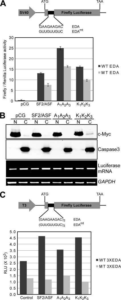 FIG. 6.