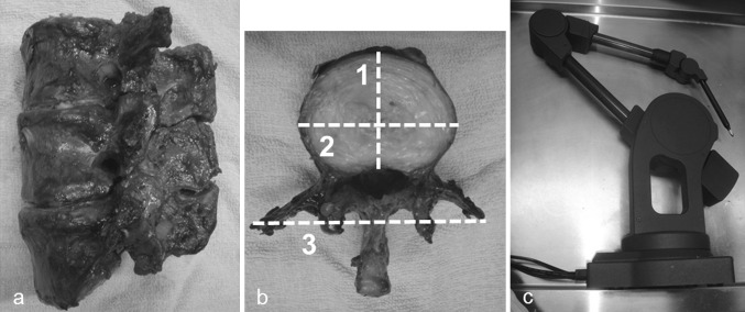 Fig. 2