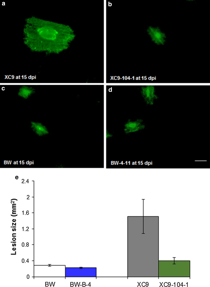 Fig. 3