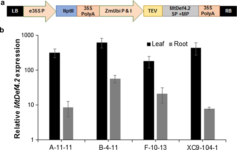 Fig. 1