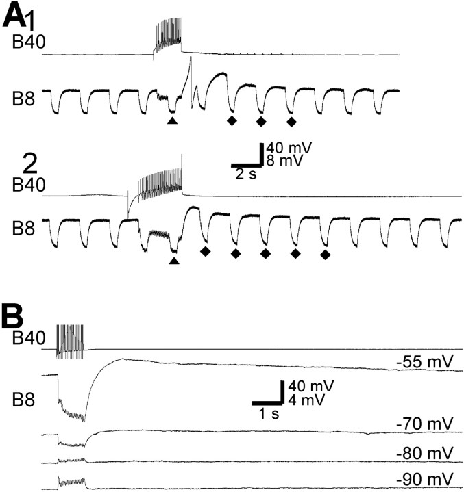 Fig. 5.