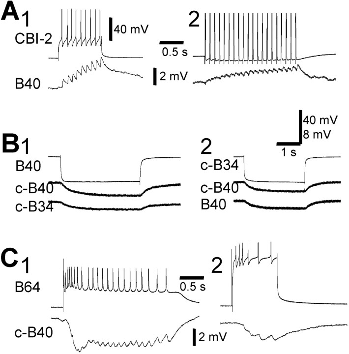 Fig. 8.