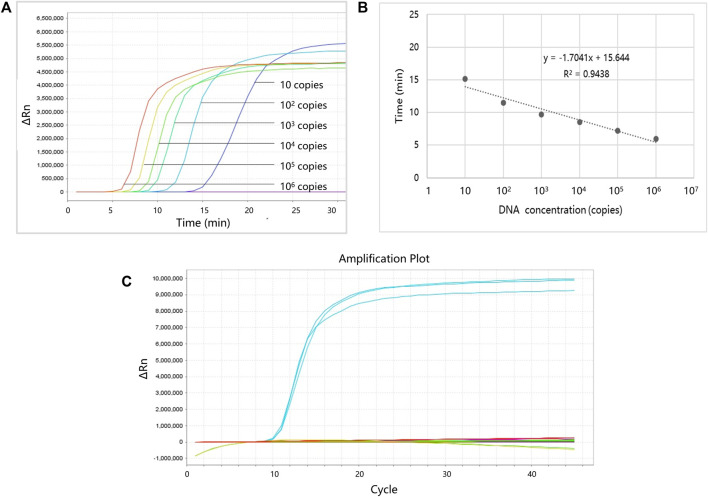 FIGURE 4