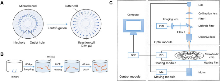 FIGURE 2