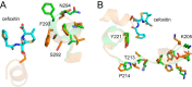 FIG 10