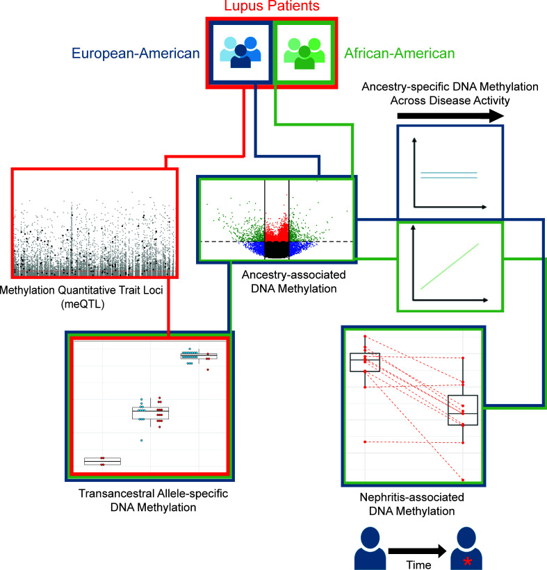 graphic file with name jciinsight-5-143654-g204.jpg