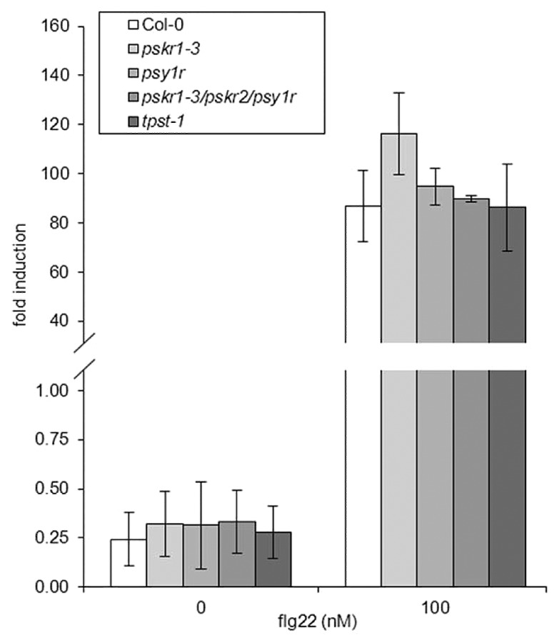 Figure 1. 