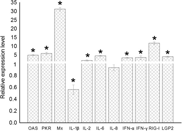 Figure 5