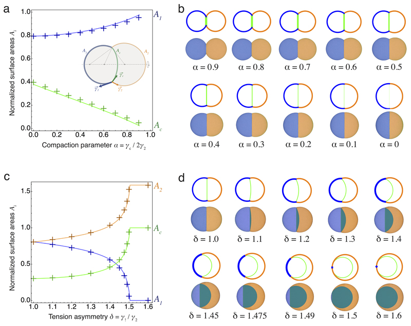 Extended Data Figure 7