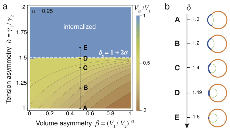 Extended Data Figure 3