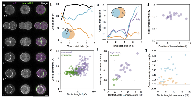 Extended Data Figure 2