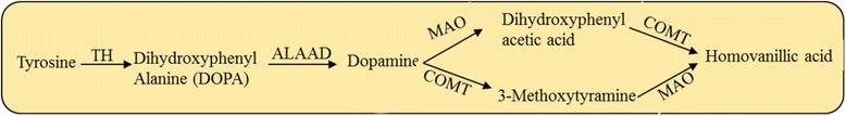 Fig. 13