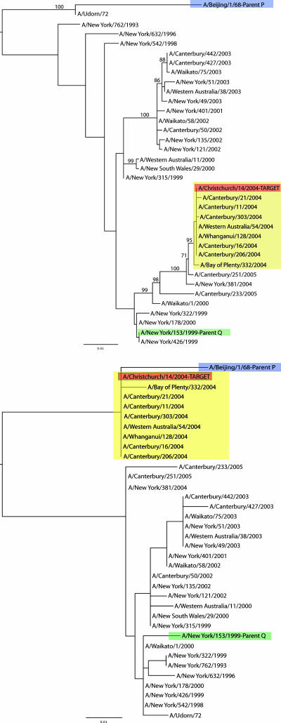 FIG. 2.