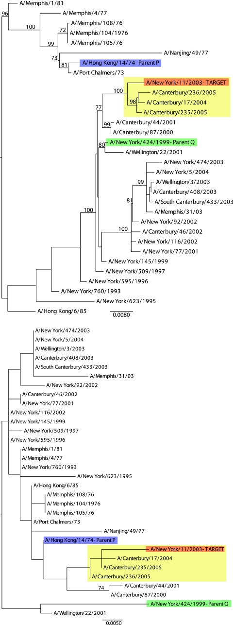 FIG. 1.