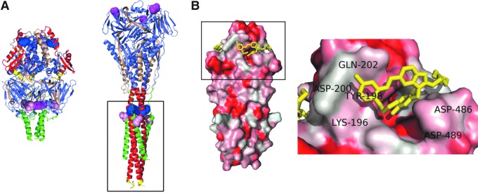 FIG. 2.