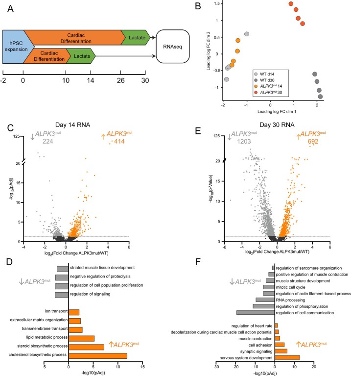 Extended Data Fig. 7