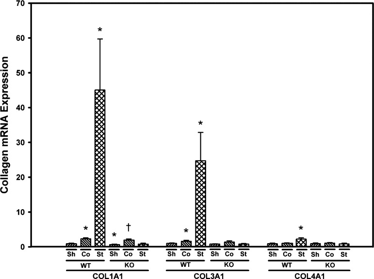 Fig. 9.