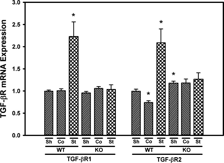 Fig. 8.