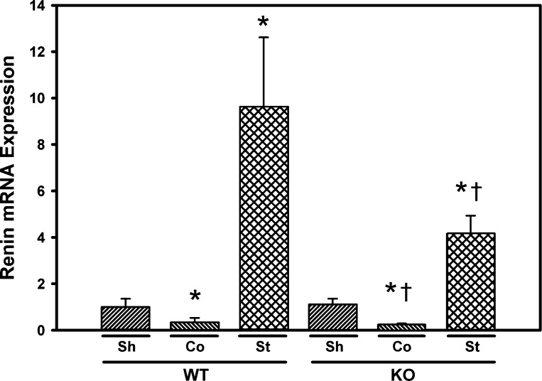 Fig. 5.