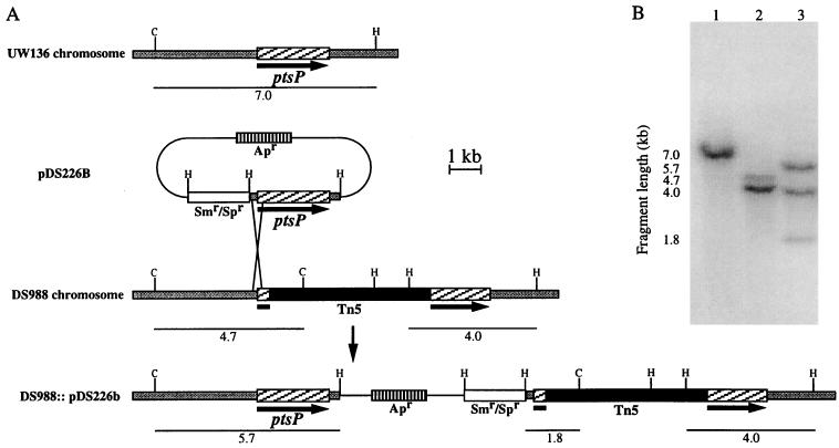 FIG. 8