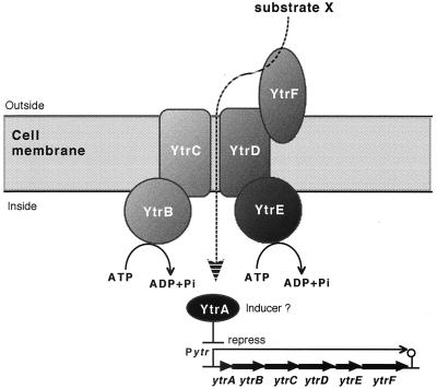 FIG. 6