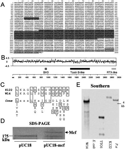 Fig 2.