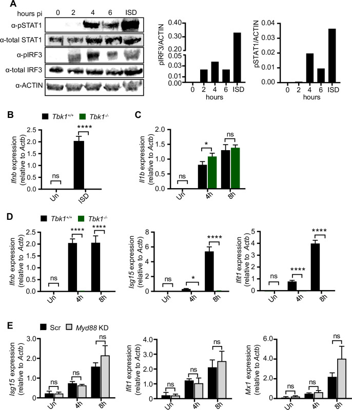 Fig 4