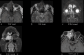 Figure 10.