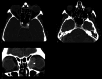 Figure 14.