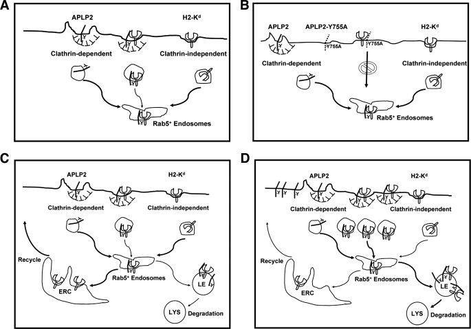 FIGURE 7.