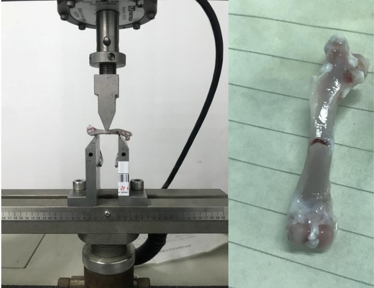 Figure 4