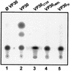 FIG. 4.